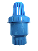 PICHACHA PLASTICO 1 AZUL