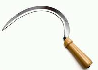 HOZ CHINO 12"